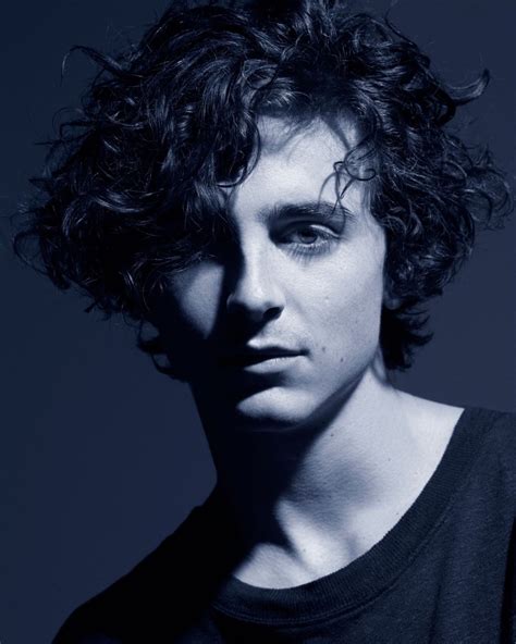 timothee chalamet ad